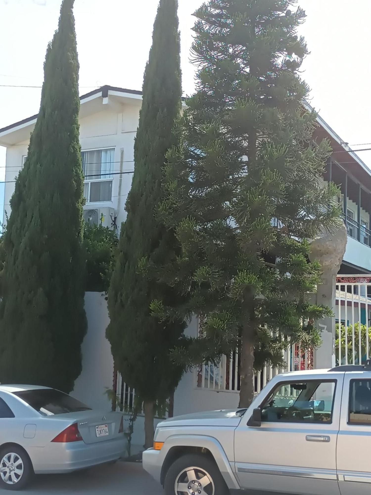 Apartamentos Rosarito.!! Con Vista Al Mar ! Eksteriør bilde